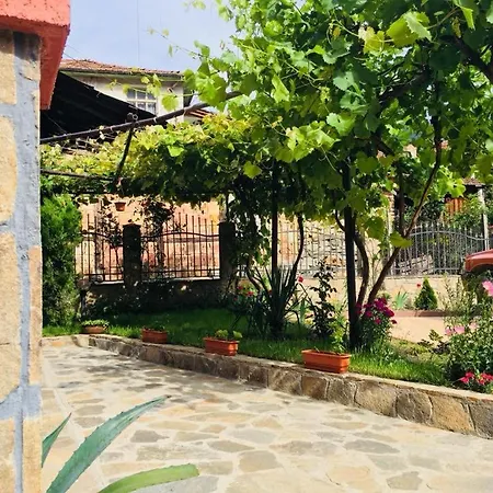 Vasilevi House Guest house