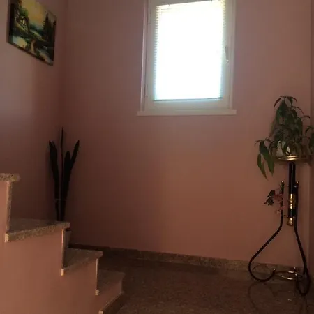 Vasilevi House *