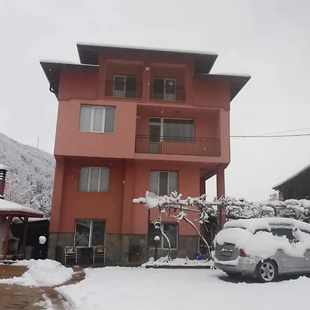 Guest house Vasilevi House *