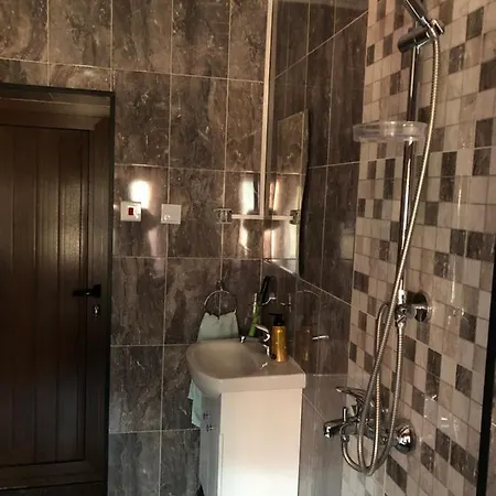 Vasilevi House Guest house