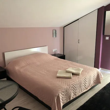 Guest house Vasilevi House *