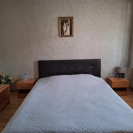 Vasilevi House