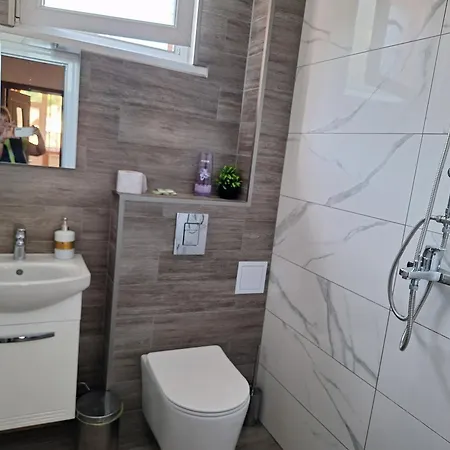 Vasilevi House Guest house *