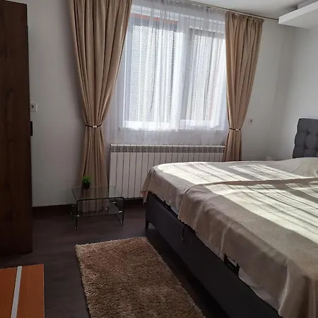 Vasilevi House *