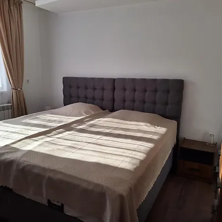 Vasilevi House