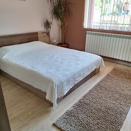 Vasilevi House Guest house *